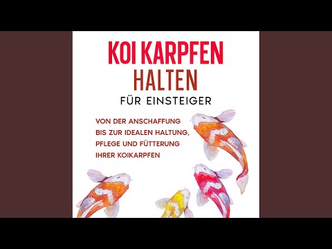Kapitel 5.2 - Koi Karpfen halten für Einsteiger: Von der Anschaffung bis zur idealen Haltung,...