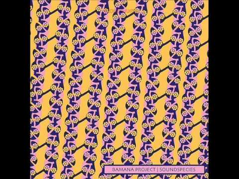 Soundspecies - Trois etages.wmv