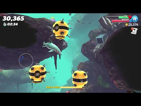 Mako Shark in Arabian Sea | Hungry Shark World