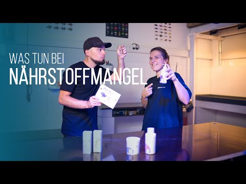 HOW-TO: Niedrige Nährstoffwerte (N & P) im Meerwasseraquarium | Limitierungen erkennen und beheben