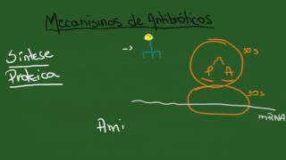 Mecanismos de Antibióticos e Resistência Bacteriana - Resumo - Microbiologia