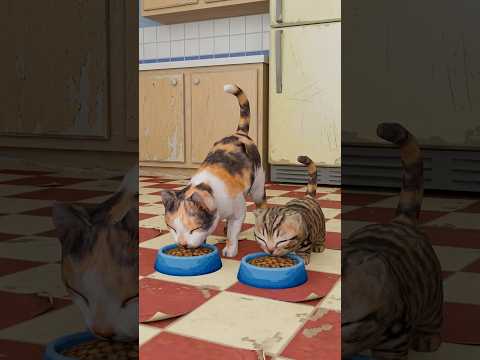 🎓 Tu gatita imita a la gata grande porque está en la escuela... #gatos #animation