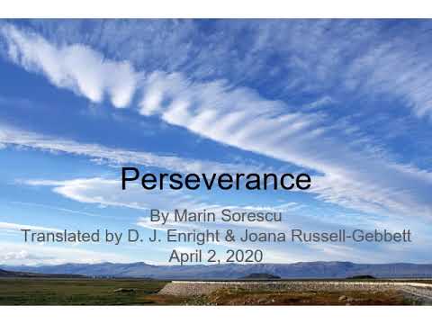 Perseverance by Marin Sorescu