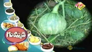 Mee Inti Vanta April 03 '11 Part - 2