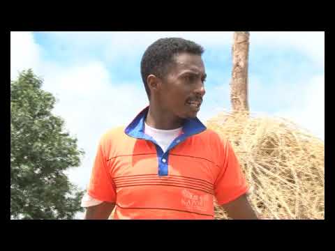 Bevanitika - Polisy, Gendarme, Miaramila, ...