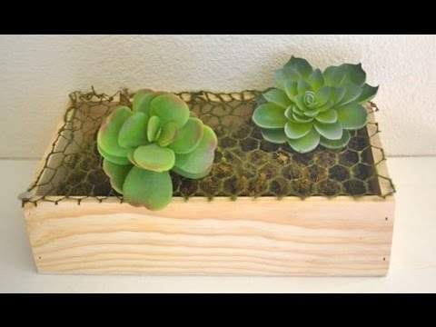 Make-Your-Own Succulent Window Box