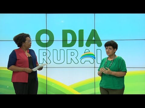 A Secretária de Agricultura Familiar do Piauí, Rejane Tavares, fala ao O Dia Rural 04 03 2023