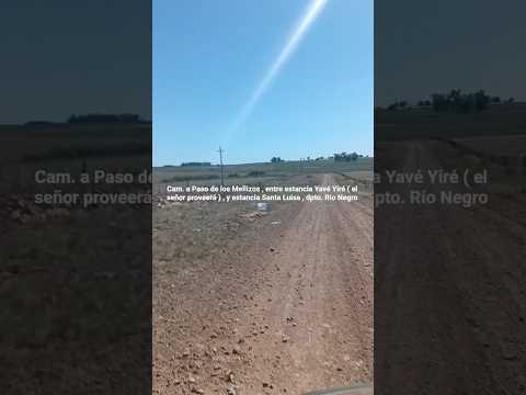 Camino a Paso de los Mellizos , departamento de Río Negro , Uruguay 🇺🇾 . Camino MBueno 👍