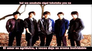 Bittersweet - Arashi (Sub Español - Romaji)