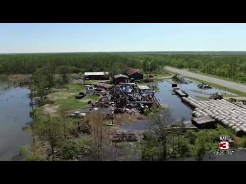 Delta damages Cameron Parish