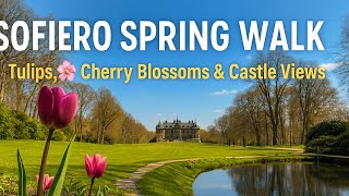Tulips, Cherry Blossoms & Royal Gardens | Sofiero Spring Visit | Sweden | 4K