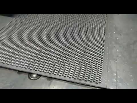 SS Perforated Filter