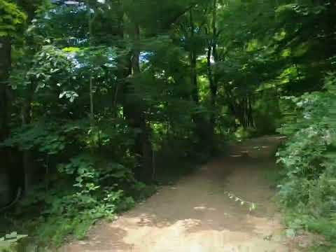 Coy Hill (full version)