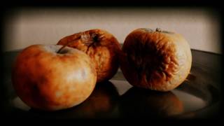 AND ALSO THE TREES - &#39;Virus Meadow&#39;