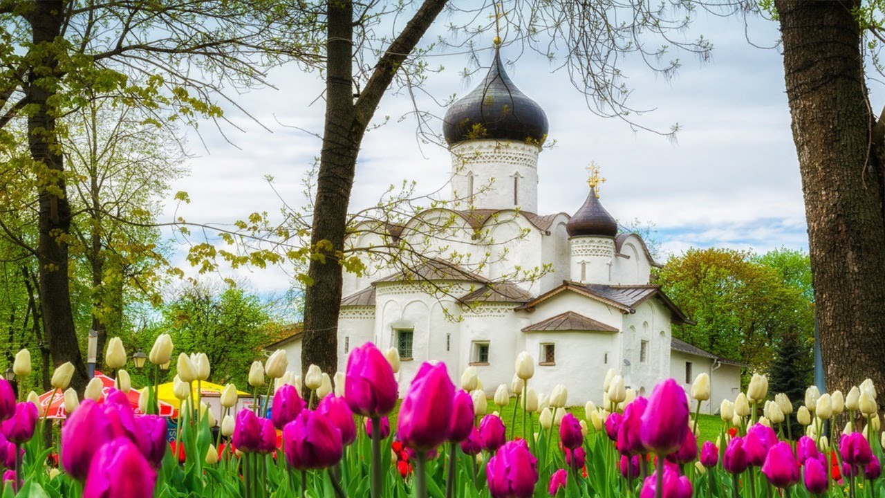 24.3.2021. У 21:30, УЖИВО МОЛИТВА И РАЗГОВОР О. ИВАНА И МИХАИЛА МИЛЕТИЋА О ЦРКВИ И ЕКОЛОГИЈИ