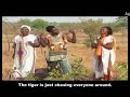 ABU SADIQ NAANIGOO JANGBUNI Official Music Video