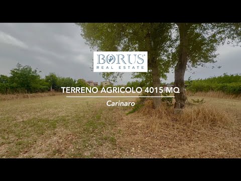 BR254 - Carinaro (CE) - Terreno agricolo di 4015 mq in zona Palazzo di Casignano