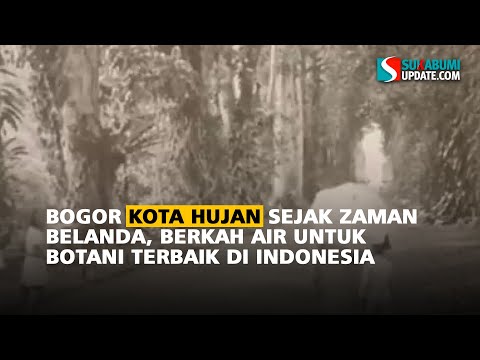 Bogor Kota Hujan Sejak Zaman Belanda, Berkah Air untuk Botani Terbaik di Indonesia