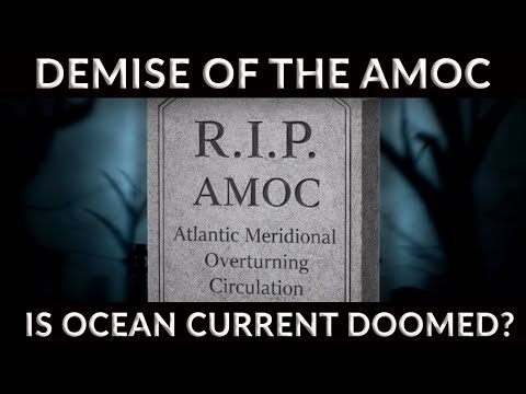Climate Doom Archive IV: AMOC