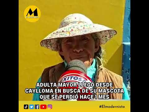 Adulta mayor llegó desde Caylloma en busca de su mascota que se perdió hace 1 mes