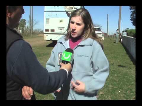 NODOS DE SALUD TACUAREMBO ACTIVIDAD EN CHAMBERLAIN.wmv