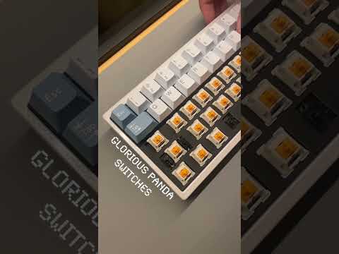 Glorious Panda Switches: a thocky tactile switch