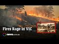 Out Of Control Bushfires Tear Through Victoria