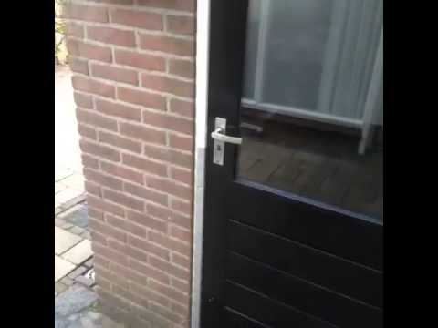 HVCH 3 - EVVC 2 (06-09-2015)