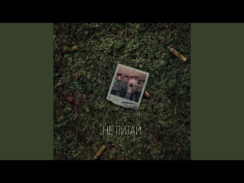 НЕ ПИТАЙ