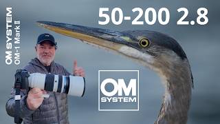 OM SYSTEM 50-200 2.8 Bird Photography!