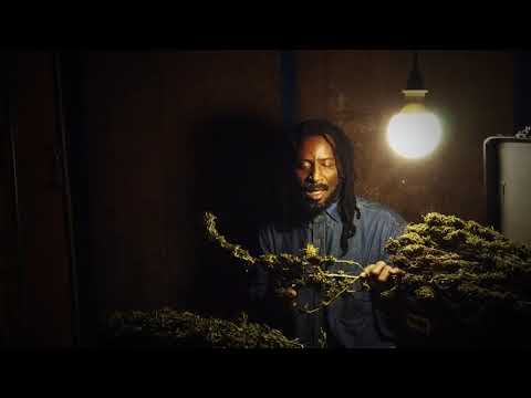NAZAMBA - MEDICATION TREE
