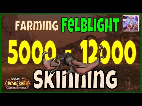 WoW 6.2 Felblight Gold Farming Guide 5000 - 12000 Gold Per Hour! Skinning Felblight Gold Guide WoD