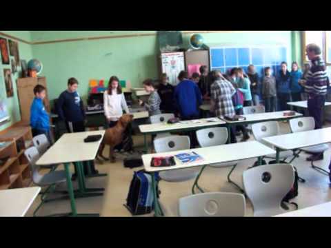 Attila & Aslan in der ERS Theley.MPG