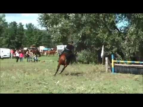 2015-10-04 Tarsolyos Kupa