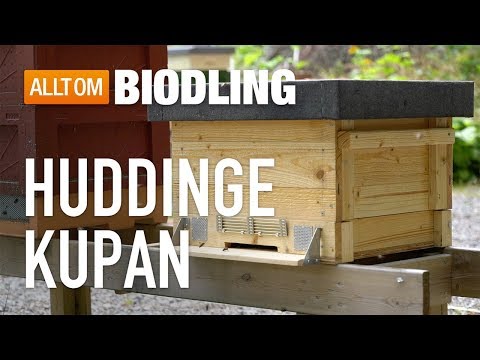 Huddinge-kupan - Bikupa - Biodling