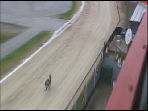 wednesday 14th February 2024 Trials