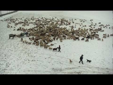 Trailer-Vorschau: Winternomaden