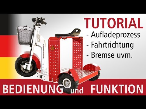 TUTORIAL Euro Scooter II | Aufladeprozess & Allgemeine Hinweise