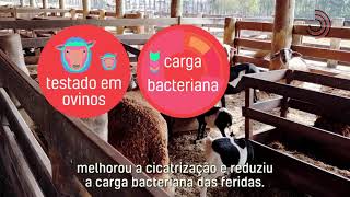 Miniatura do vídeo
