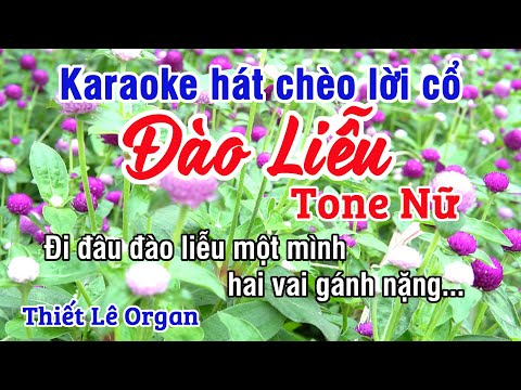 Đào Liễu Karaoke Hát Chèo - Chèo Lời Cổ Hay Tone Nữ - Thiết Lê Organ