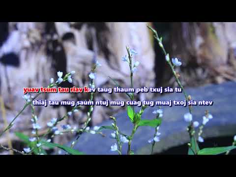 Tshwm Sim Los Ua Neej - Misc Praise Songs