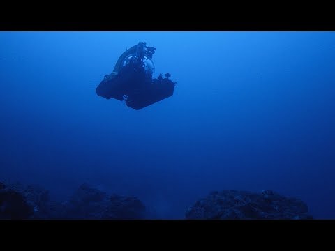 Into the Deep Unknown | bioGraphic