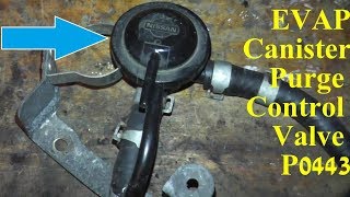 How to Test and Replace EVAP Canister Purge Control Valve P0443