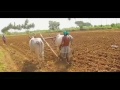 Agriculture