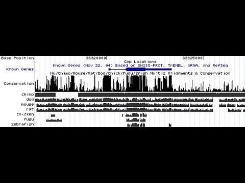 Comparative Genomics Part 1