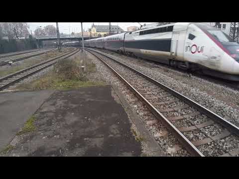 TGW NACH FREIBURG BREISGAU HBF