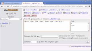 Beginner PHP Tutorial - 131 - LIKE With a Search Engine Example Part 2