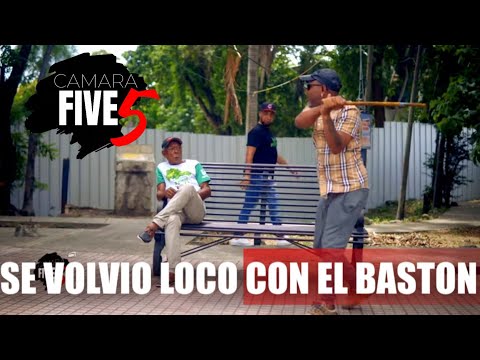 No veía nada le pusieron una funda y se volvió loco 😳