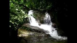 preview picture of video 'Excursionismo Cenzontle - cascada ubicado a un 200 mts. del ejido costa rica por mapastepec'