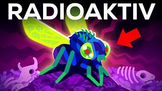 Warum die USA jede Woche Millionen verstrahlter Fliegen freilassen